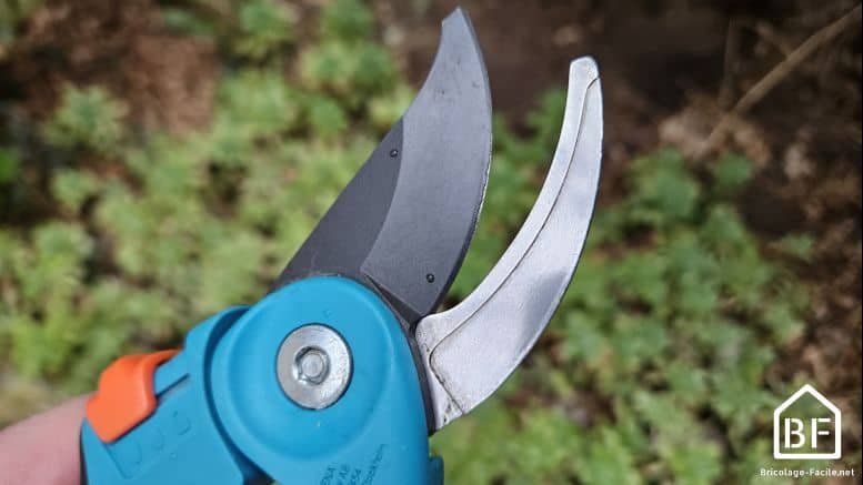 Nettoyer et affûter un sécateur